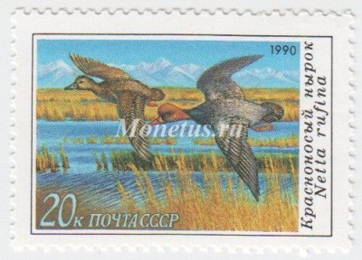 марка СССР 20 копеек "Красноносый нырок" 1990 год