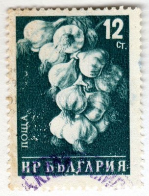 марка Болгария 12 стотинок "Garlic**" 1958 год Гашение