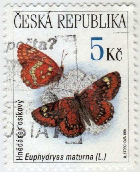марка Чехия 5 крон "Scarce Fritillary (Euphydryas maturna)" 1999 год гашение