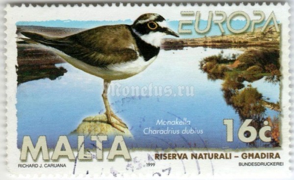марка Мальта 16 центов "Little Ringed Plover (Charadrius dubius), Ghadira Nature Res" 1999 год гашение
