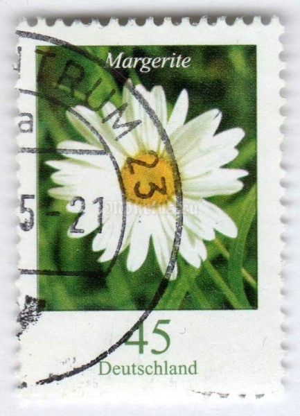 марка ФРГ 45 центов "Chrysanthemum" 2005 год Гашение
