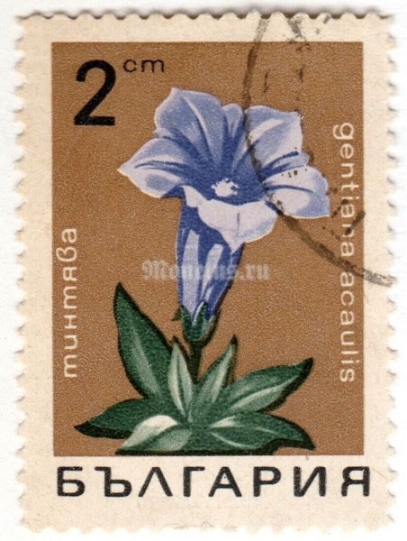 марка Болгария 2 стотинки "Stemless gentian" 1968 год Гашение