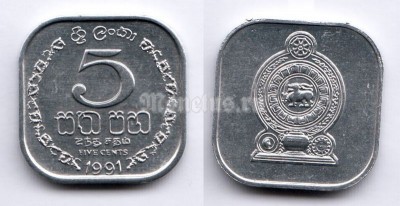 монета Шри-Ланка 5 центов 1991 год