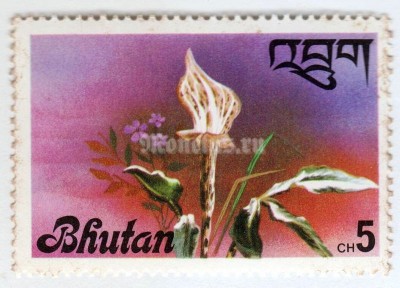 марка Бутан 5 чертум "Cobra Lily (Arisaema speciosum)" 1976 год