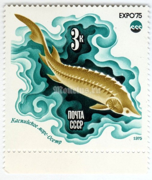 марка СССР 3 копейки "Осетр" 1975 год