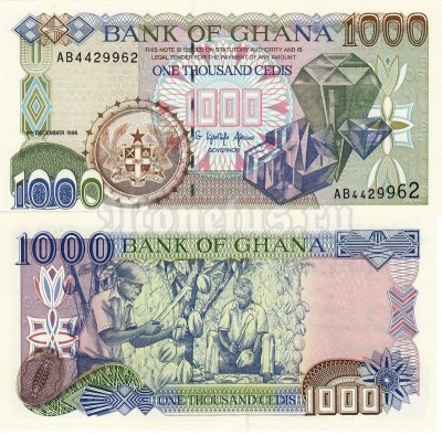 бона Гана 1000 седи 1996 год