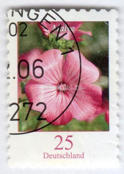 марка ФРГ 25 центов "Lavatera trimestris - Mallow" 2005 год Гашение
