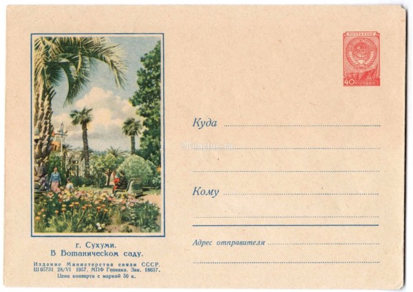 ХМК СССР Сухуми В Ботаническом саду 1957 год, Пейзаж, чистый
