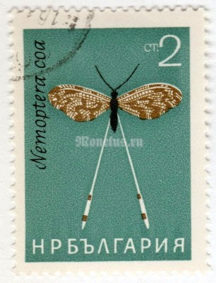 марка Болгария 2 стотинки  "Spoonwing (Nemoptera coa)" 1964 год Гашение