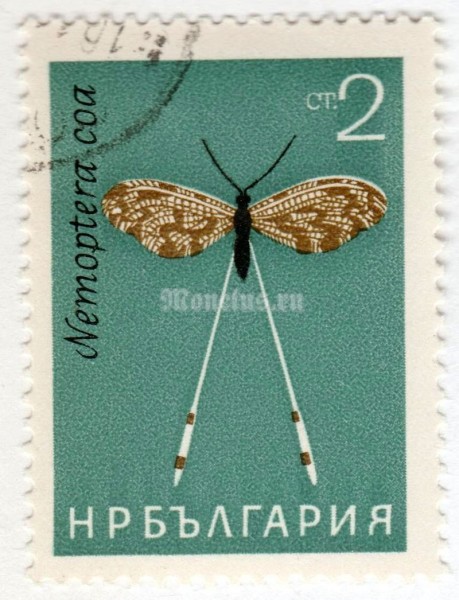 марка Болгария 2 стотинки  "Spoonwing (Nemoptera coa)" 1964 год Гашение