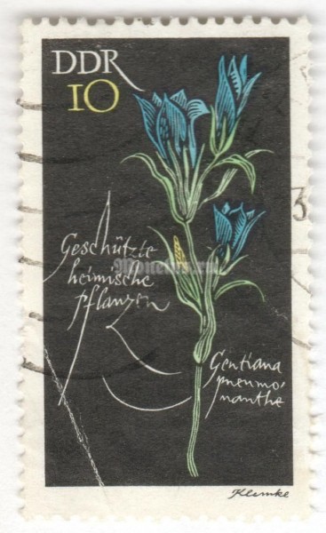 марка ГДР 10 пфенниг "Gentiana pneumonanthe" 1966 год Гашение
