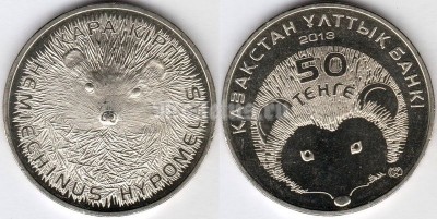 монета Казахстан 50 тенге 2013 год, серия «Красная книга Казахстана» - Длинноиглый еж