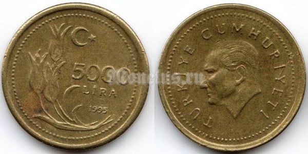 монета Турция 5000 лир 1995 год