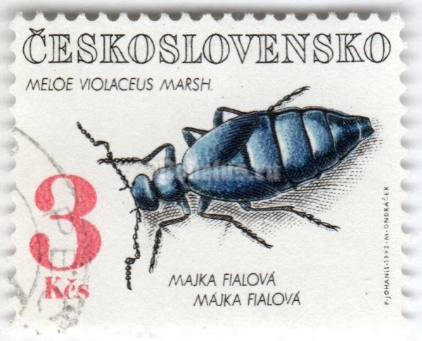 марка Чехословакия 3 кроны "Violet Oil Beetle (Meloe violaceus)" 1992 год Гашение