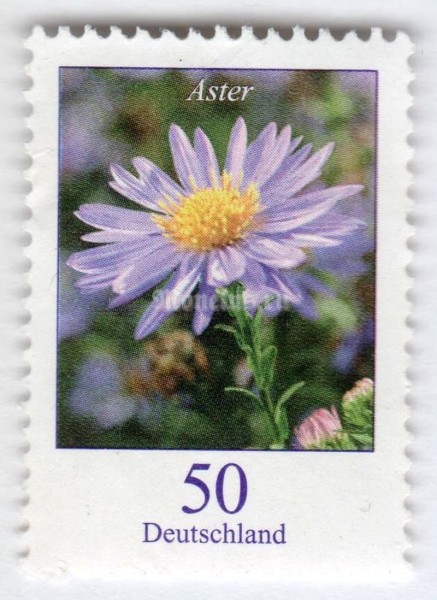 марка ФРГ 50 центов "Aster novae - Autumn Aster" 2005 год 