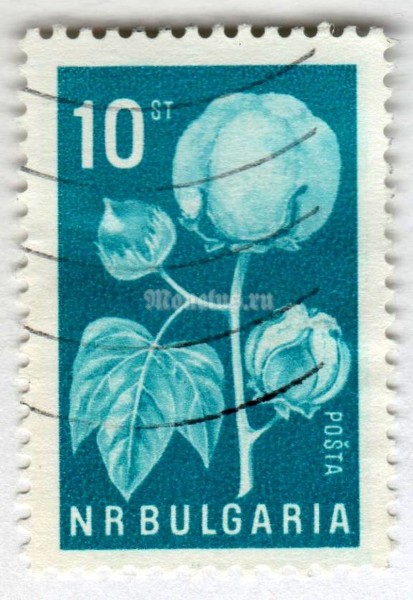 марка Болгария 10 стотинок "Cotton" 1965 год Гашение