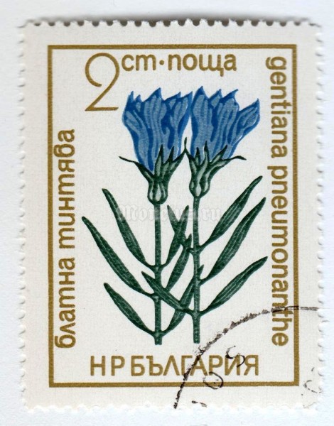 марка Болгария 2 стотинки "Gentian" 1972 год Гашение