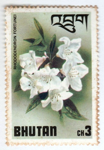 марка Бутан 3 чертум "Rhododendron fortunei" 1976 год