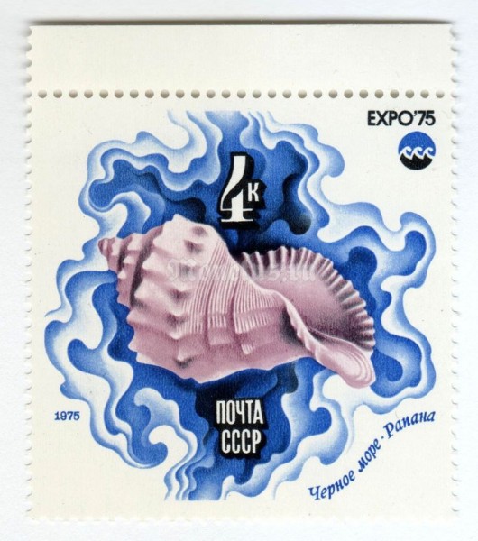 марка СССР 4 копейки "Рапана" 1975 год
