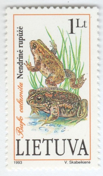 марка Литва 1 лит "Natterjack Toad (Bufo calamita)" 1993 год