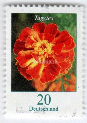 марка ФРГ 20 центов "Tagetes erecta - African Marigold" 2005 год Гашение