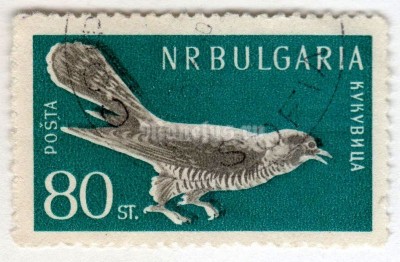 марка Болгария 80 стотинок  "Common Cuckoo (Cuculus canorus)" 1959 год Гашение
