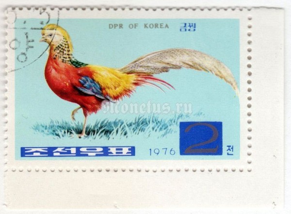 марка Северная Корея 2 чона "Golden Pheasant (Chrysolophus pictus)" 1976 год Гашение
