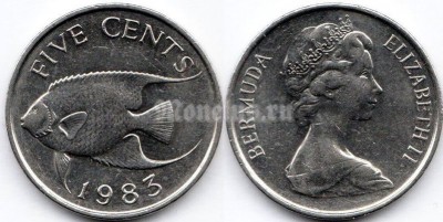 монета Бермуды 5 центов 1983 год
