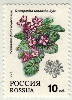марка Россия 10 рублей "Сенполия Фиалкоцветная" 1993 год