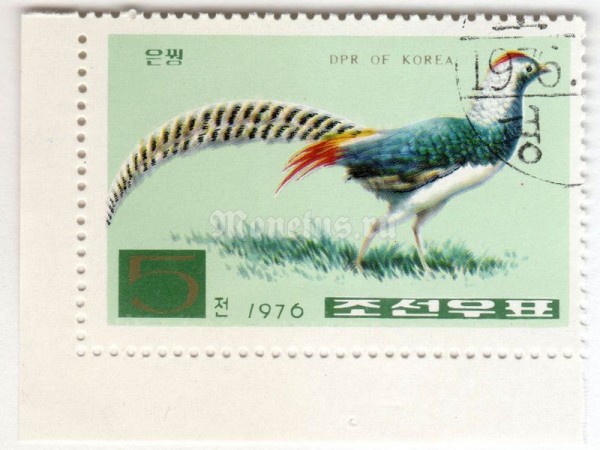 марка Северная Корея 5 чон "Lady Amherst’s Pheasant (Chrysolophus amherstiae)" 1976 год Гашение