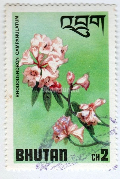 марка Бутан 2 чертум "Rhododendron campanulatum" 1976 год Гашение
